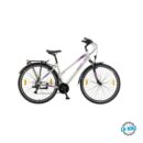 POLAR ATHENA CITY silver-purple