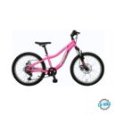 BOOSTER PLASMA 200 FS DISC pink