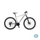 POLAR MIRAGE COMP grey