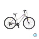 POLAR ATHENA silver-purple