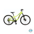 BOOSTER PLASMA 240 FS DISC green