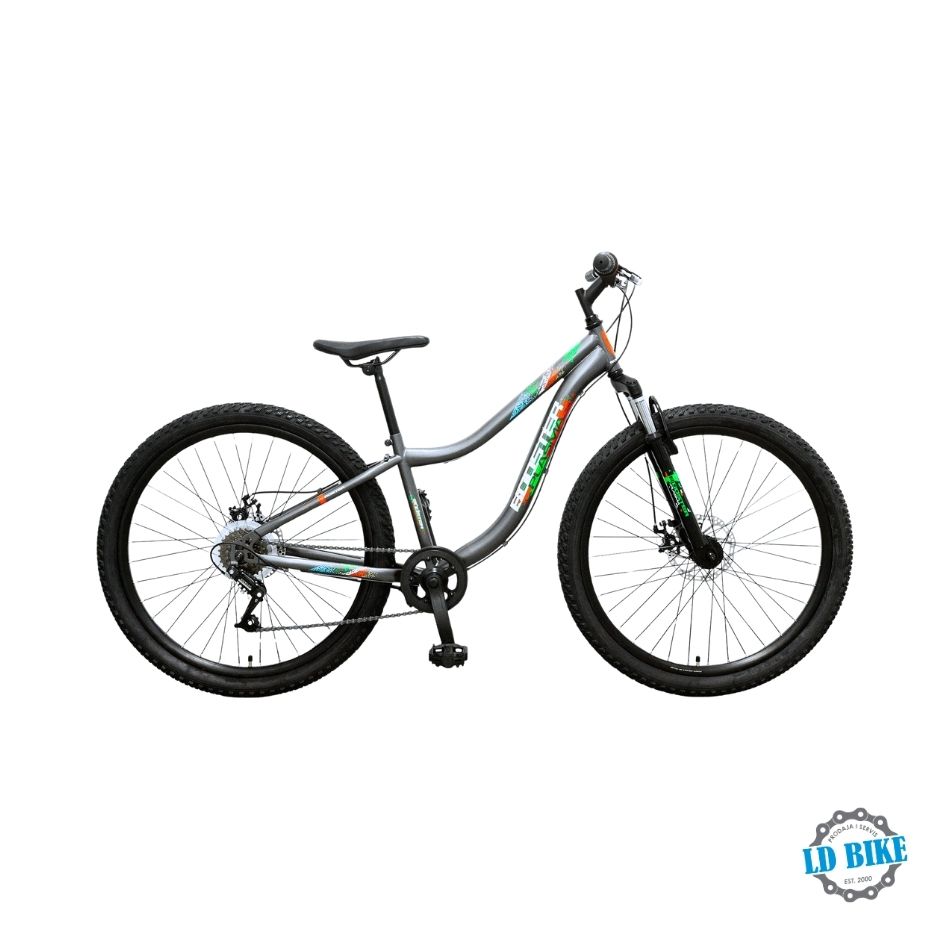 BOOSTER PLASMA 260 FS DISC anthracite