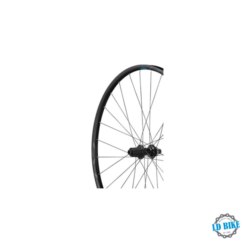 SET TOČKOVA SHIMANO WH-RS171-700C 10/11 brzina - Image 3